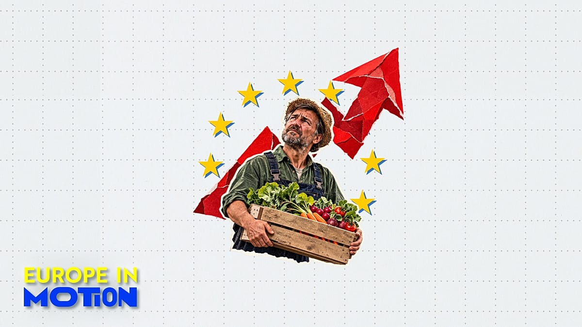 EU farmers squeezed as output prices fall and input costs climb