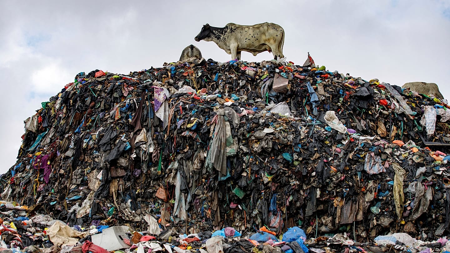 EU Investigators Seize 4,200 Tonnes of Illegal Textile Waste Shipped from Italy to Turkey