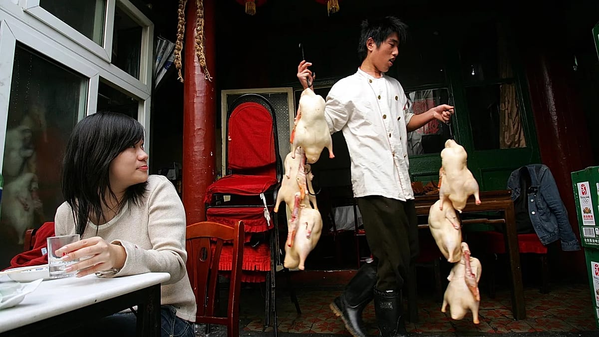 EU Opens Probe into Chinese Pekin Duck Imports Amid Trade Tensions
