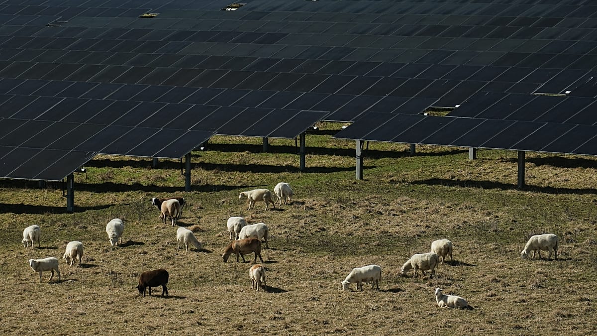 EU's AccelerateEU Plan: Experts Urge Shift from Crisis Response to Structural Reform