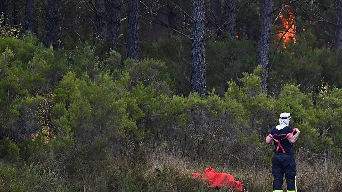 EU wildfire prevention plan falters as southern Europe burns
