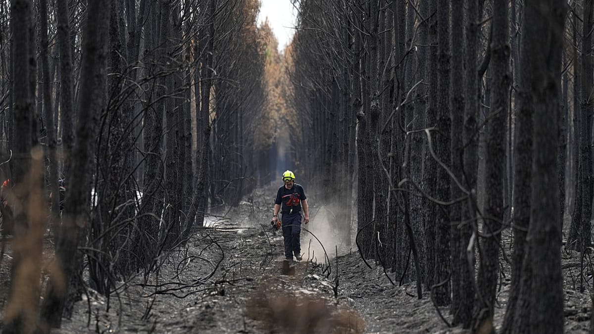 EU wildfire tools under strain as prevention lags behind response