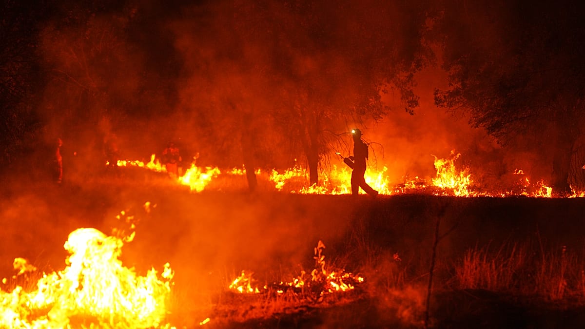 Europe's arson intelligence gap: who starts the fires and why remains a mystery
