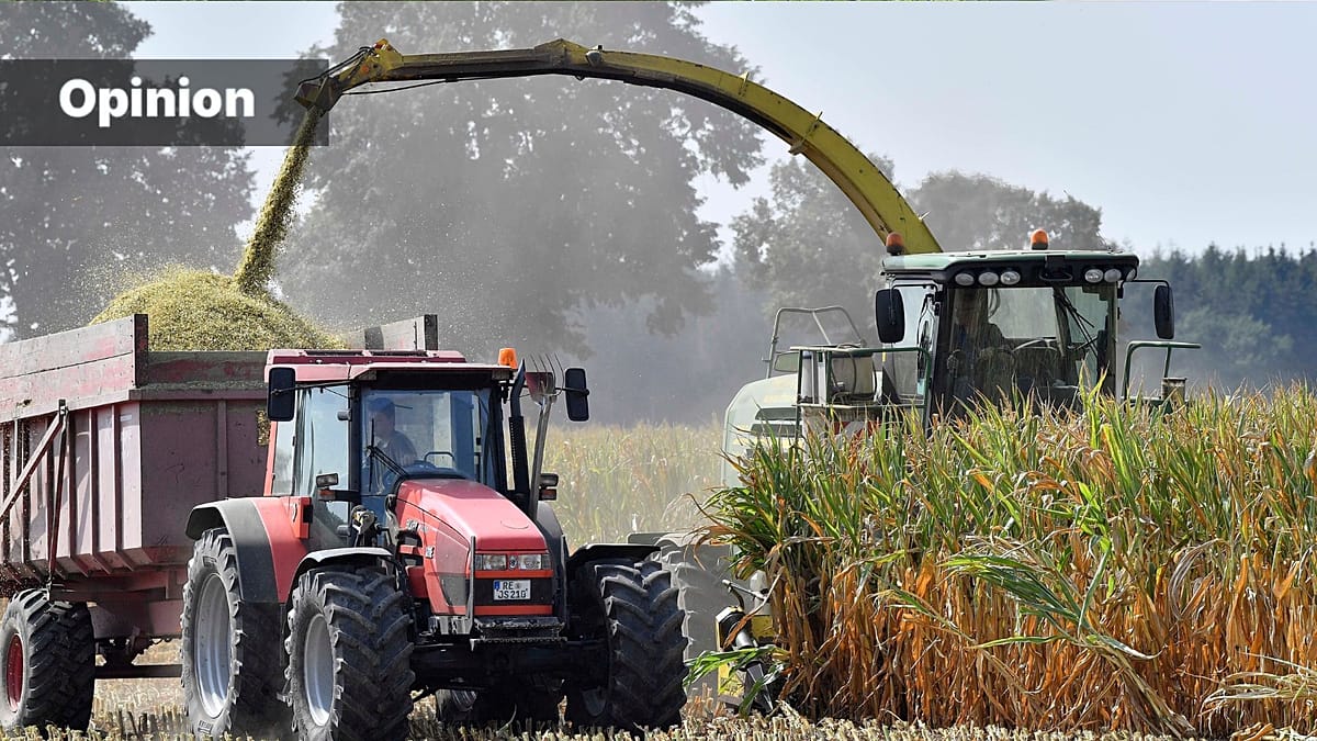 Europe's degraded soils cost over €50 billion yearly; AI offers a path to restoration