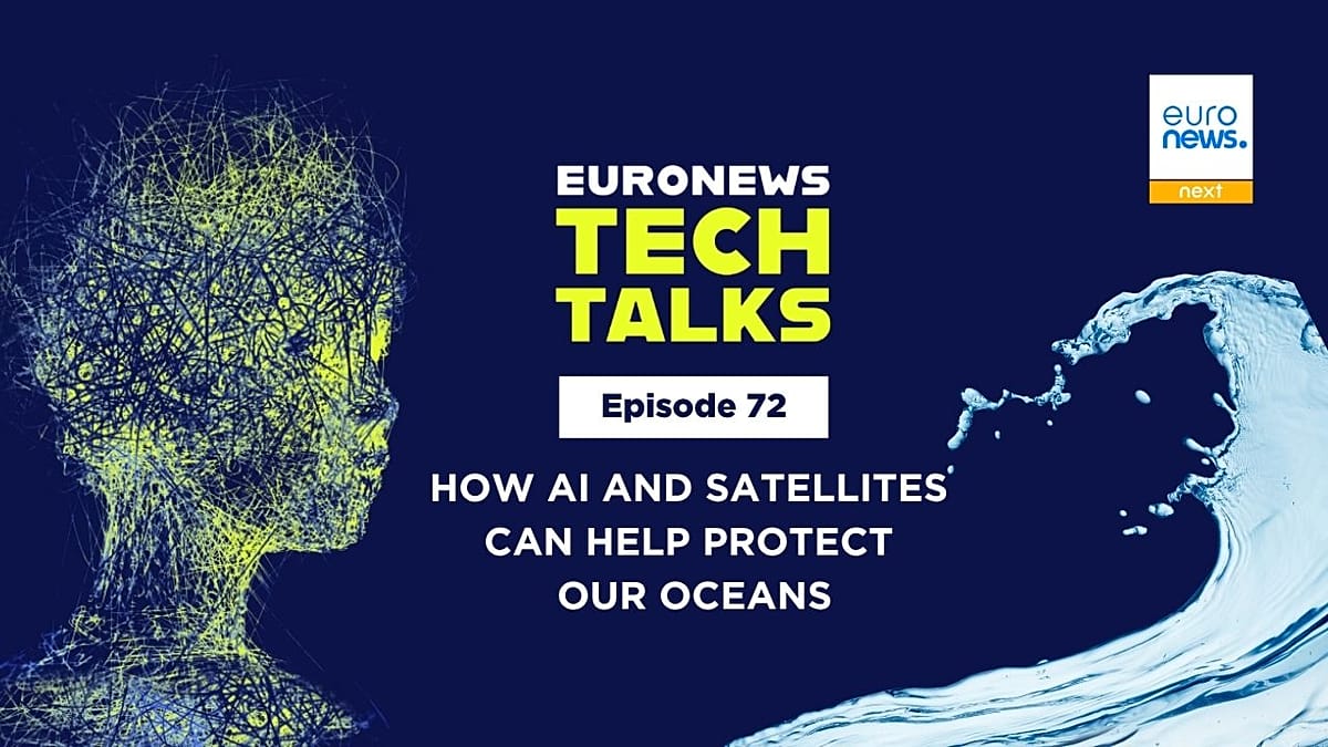 Europe's Digital Twin Ocean: AI and Satellites Create Virtual Replica to Safeguard Marine Ecosystems