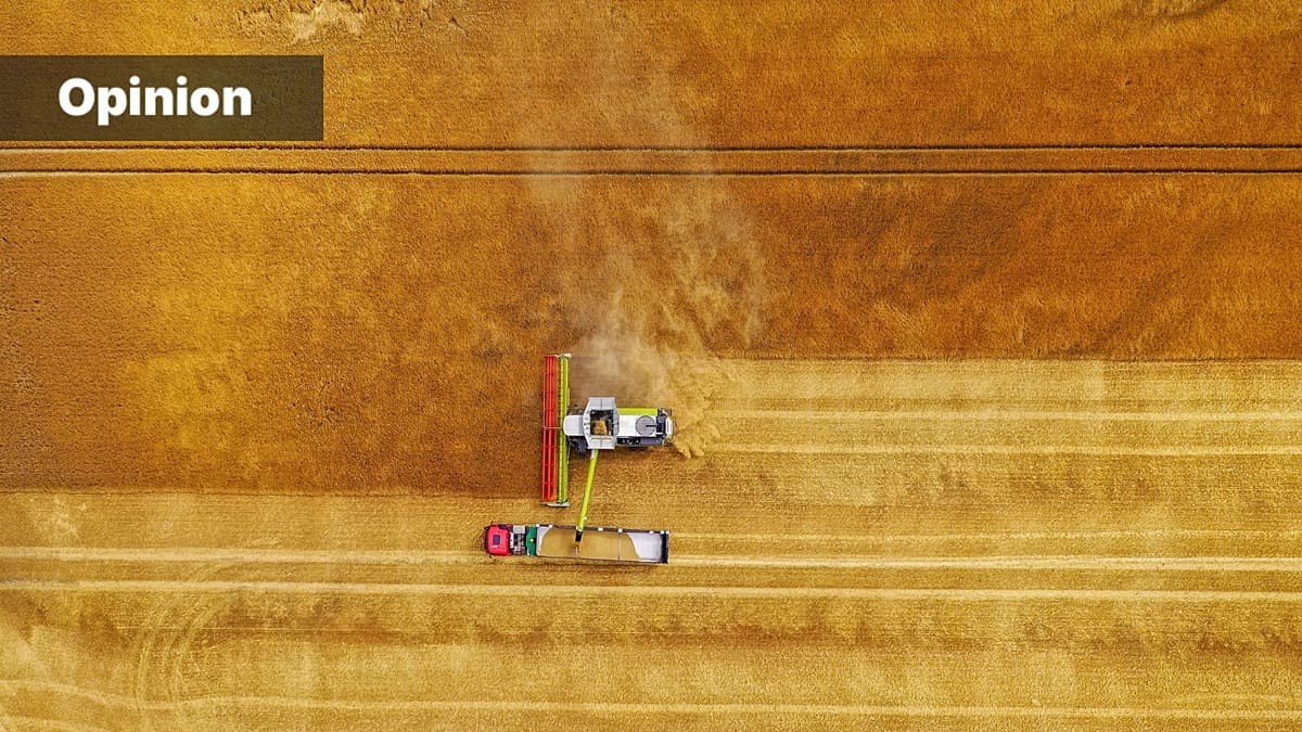 Europe's Fertiliser Industry Must Reinvent Itself to Cut Fossil Fuel Dependence
