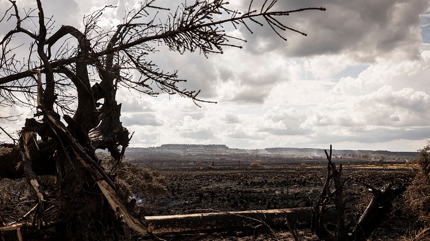 Europe's heatwaves are quietly draining national budgets