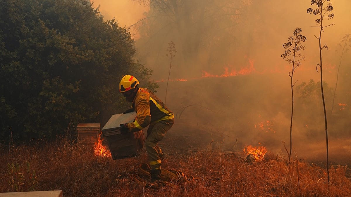 Europe's newborns face decades more fire weather unless emissions fall