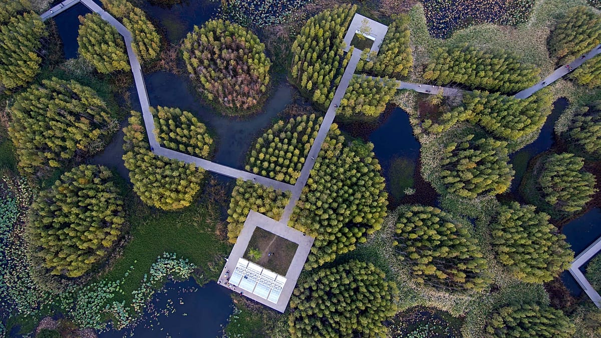 Europe's sponge cities turn stormwater into a resource