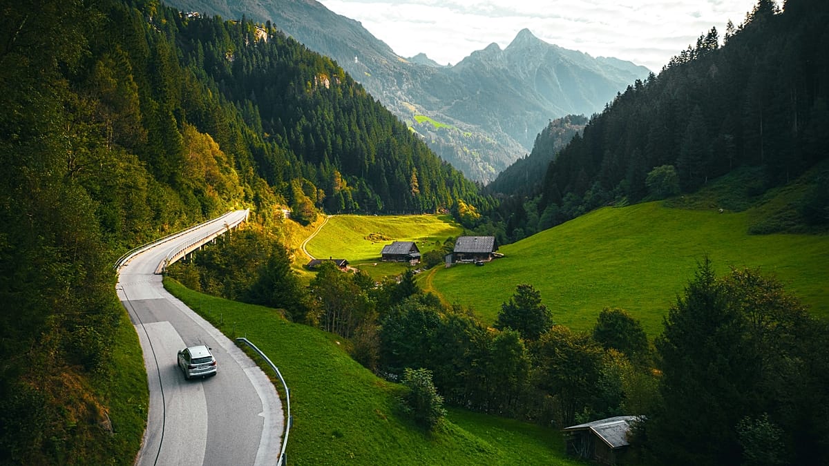 Europe's Top Wildlife Road Trips: From New Forest to North Cape