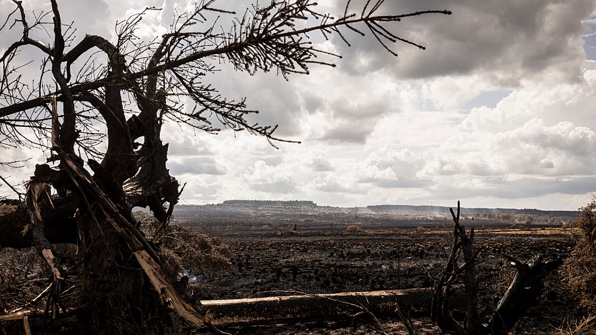 Extreme weather batters Europe: wildfires, floods, and storms force mass evacuations