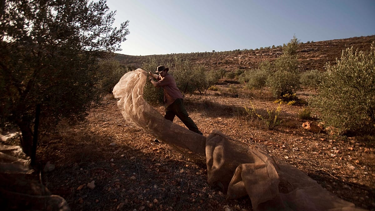 Fact Check: Can EU States Legally Ban Israeli Settlement Imports?
