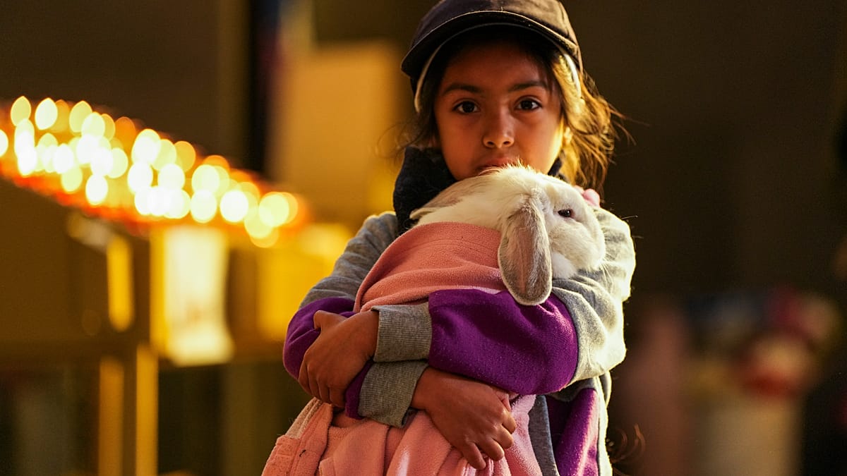 Feast of Saint Francis draws pets to churches across Europe