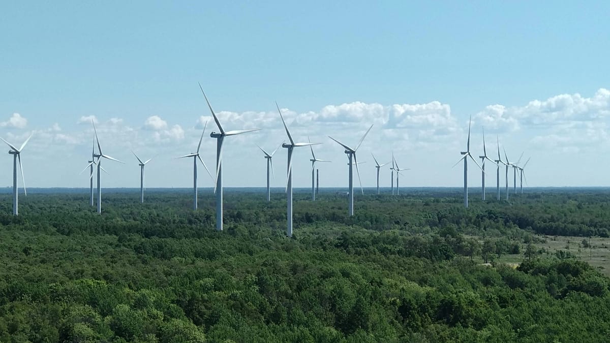 Fifteen European Nations Lead Global Climate Rankings, Estonia Tops List
