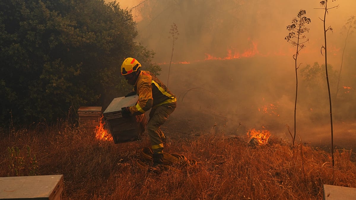 Firefighters battle blaze near Tírig in Castellón as 810 hectares burn