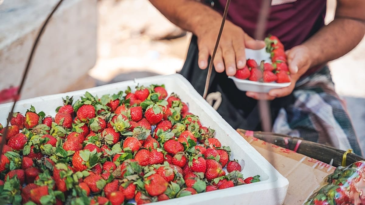 Flavanols Matter More Than Total Fruit Intake for Heart Health, Study Finds