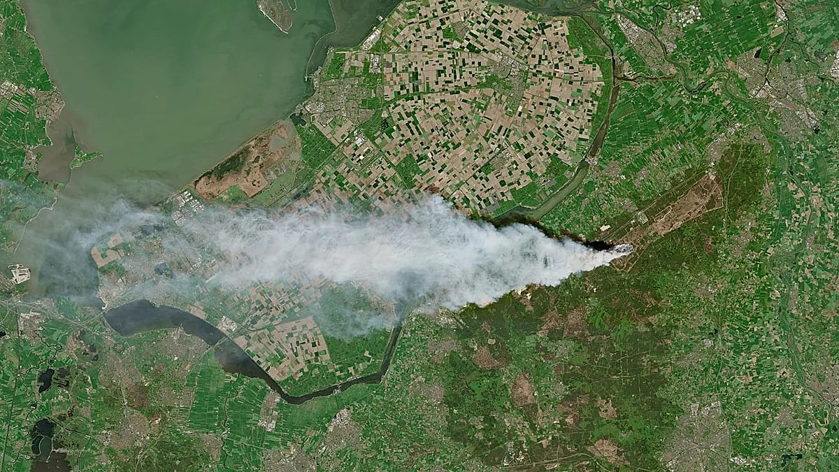 France and Germany Deploy Firefighters to Combat Dutch Woodland Blazes