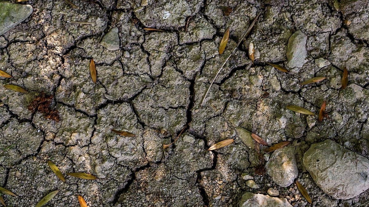 France's groundwater reserves remain critically low as autumn recharge stalls