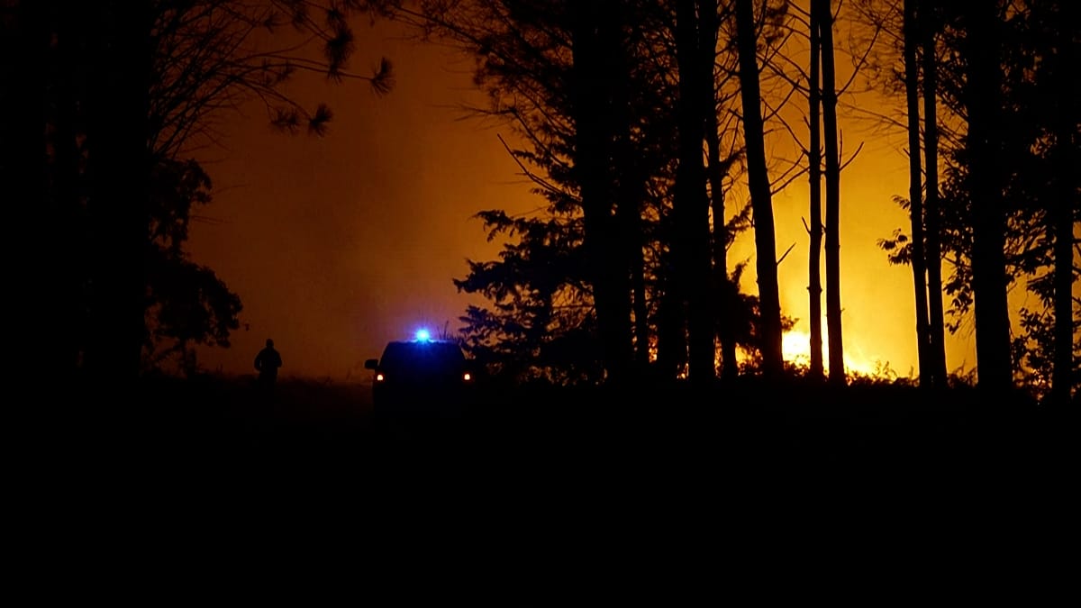 France wildfire forces 525 to flee as Landes forest burns
