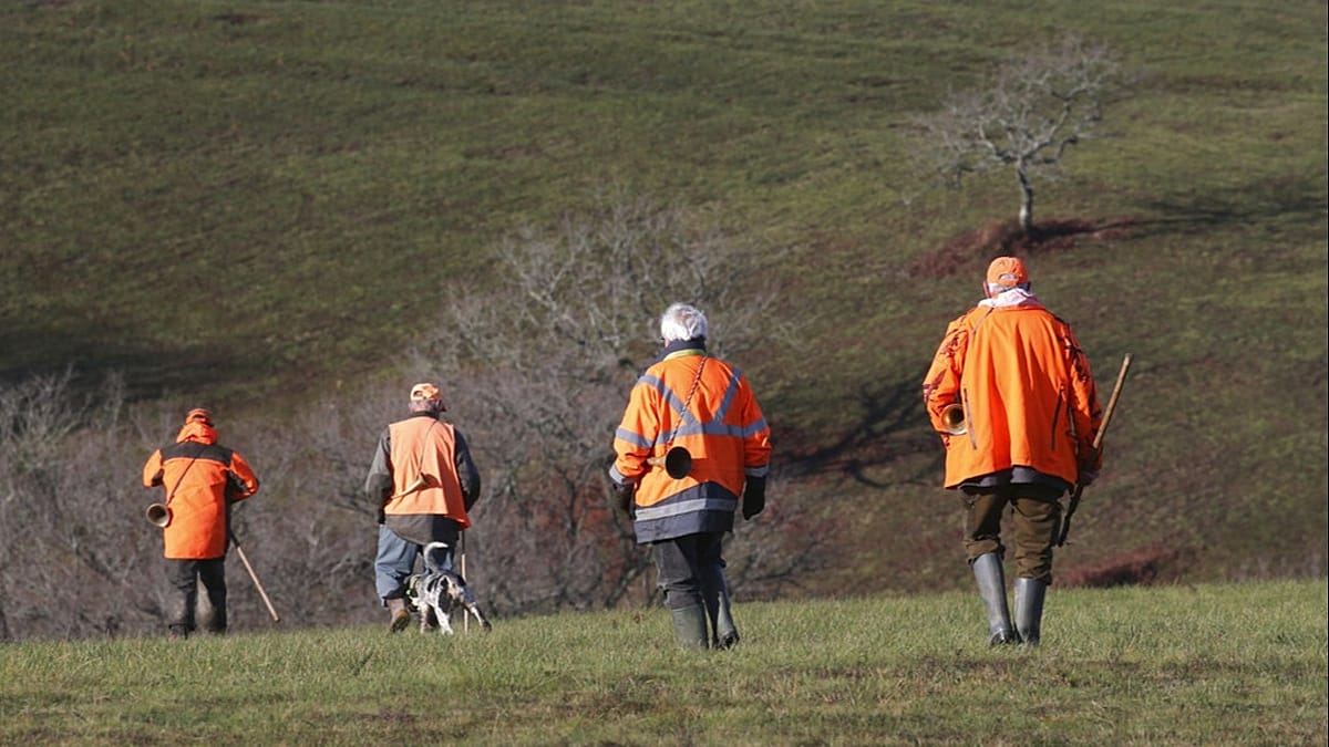 French billionaire goes on trial for illegal hunting of protected birds