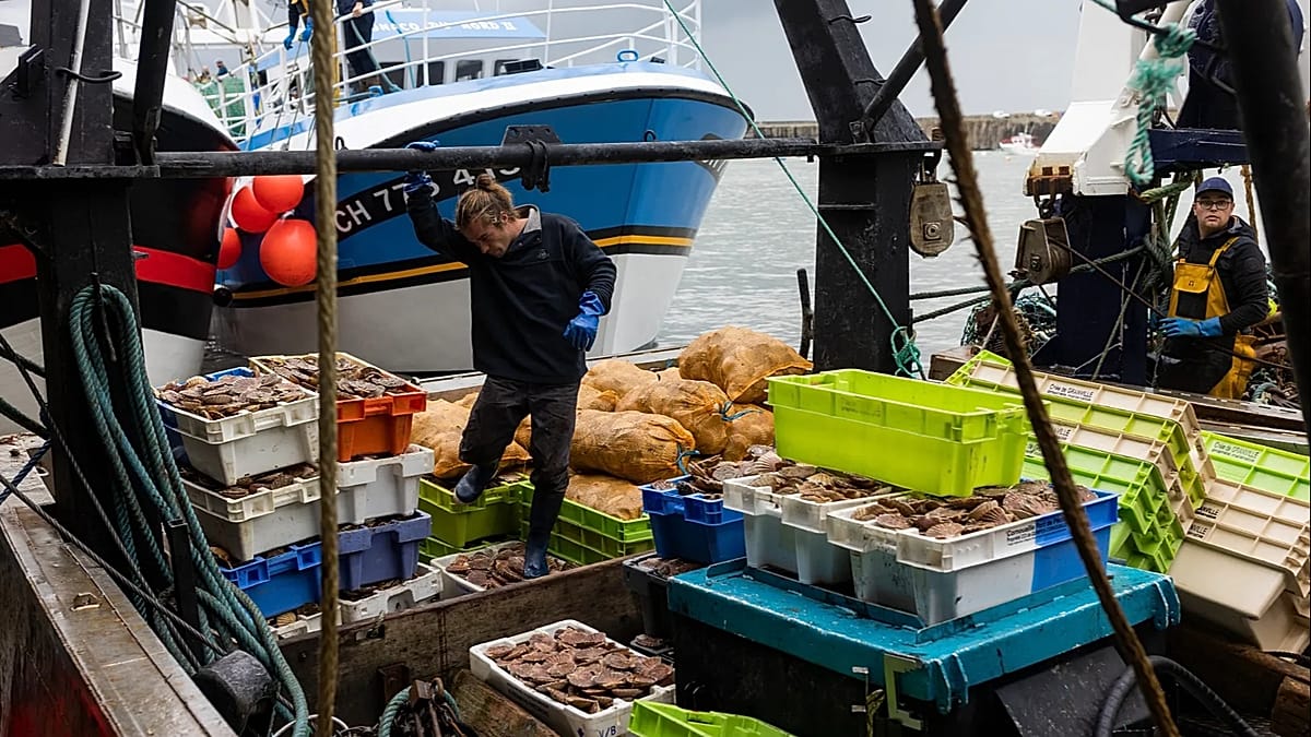 French Fishermen Gather in Cherbourg as Sector Faces Fuel Costs, Competition, and Regulation
