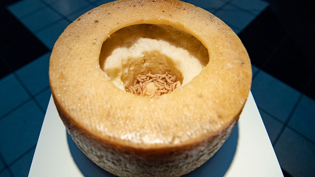 From Maggot Cheese to Fermented Fish: Europe's Most Divisive Delicacies