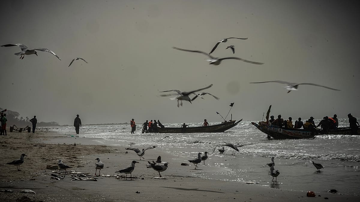 Gambia boat disaster kills at least 12 as Atlantic migration shifts south