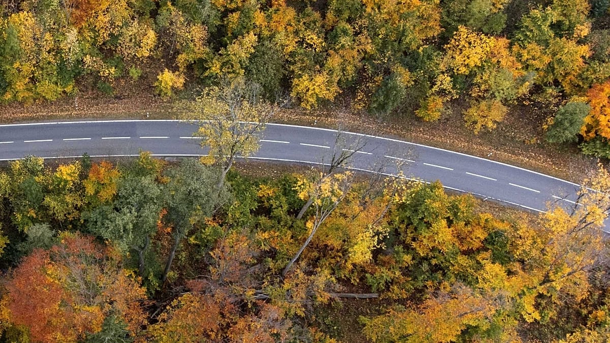 Germany's 70 km Nazi-Era Autobahn Ruin: A Monument to Propaganda