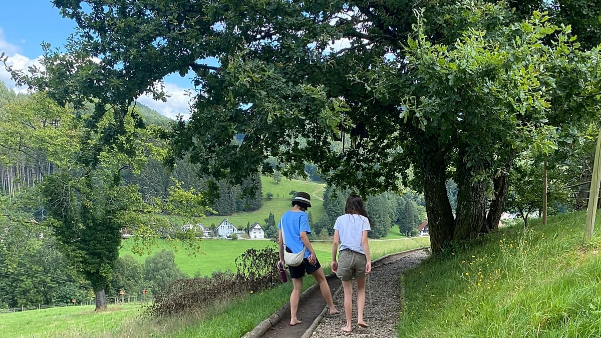Germany's Barefoot Trails: A Sensory Journey Through the Black Forest