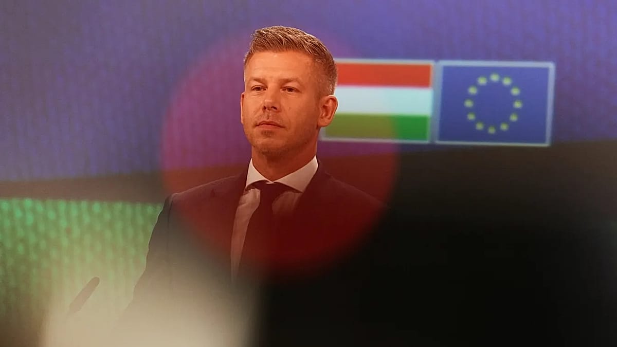 Germany's Expectations for Hungary's New Premier: A Test of EU Normalisation