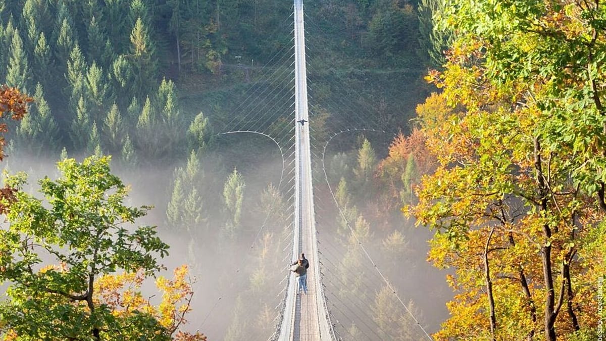 Germany's finest elevated views: peaks, bridges and treetop walks