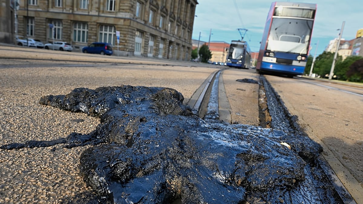 Germany Scrambles to Adapt as 41.7°C Heatwave Exposes Infrastructure Gaps