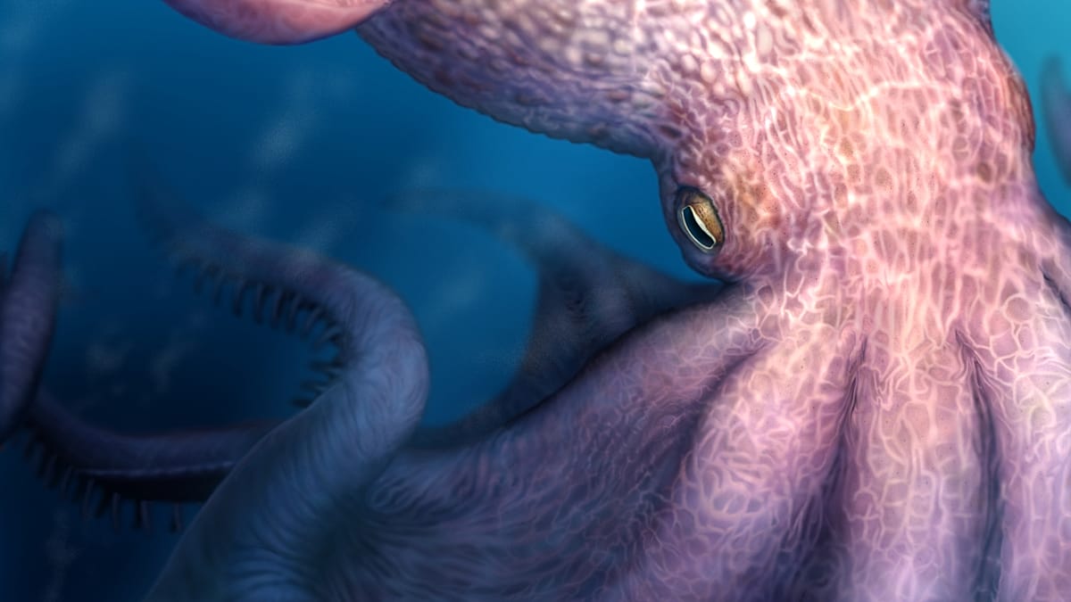 Giant Octopus Fossils Reveal 19-Metre-Long Predators Roamed Cretaceous Seas