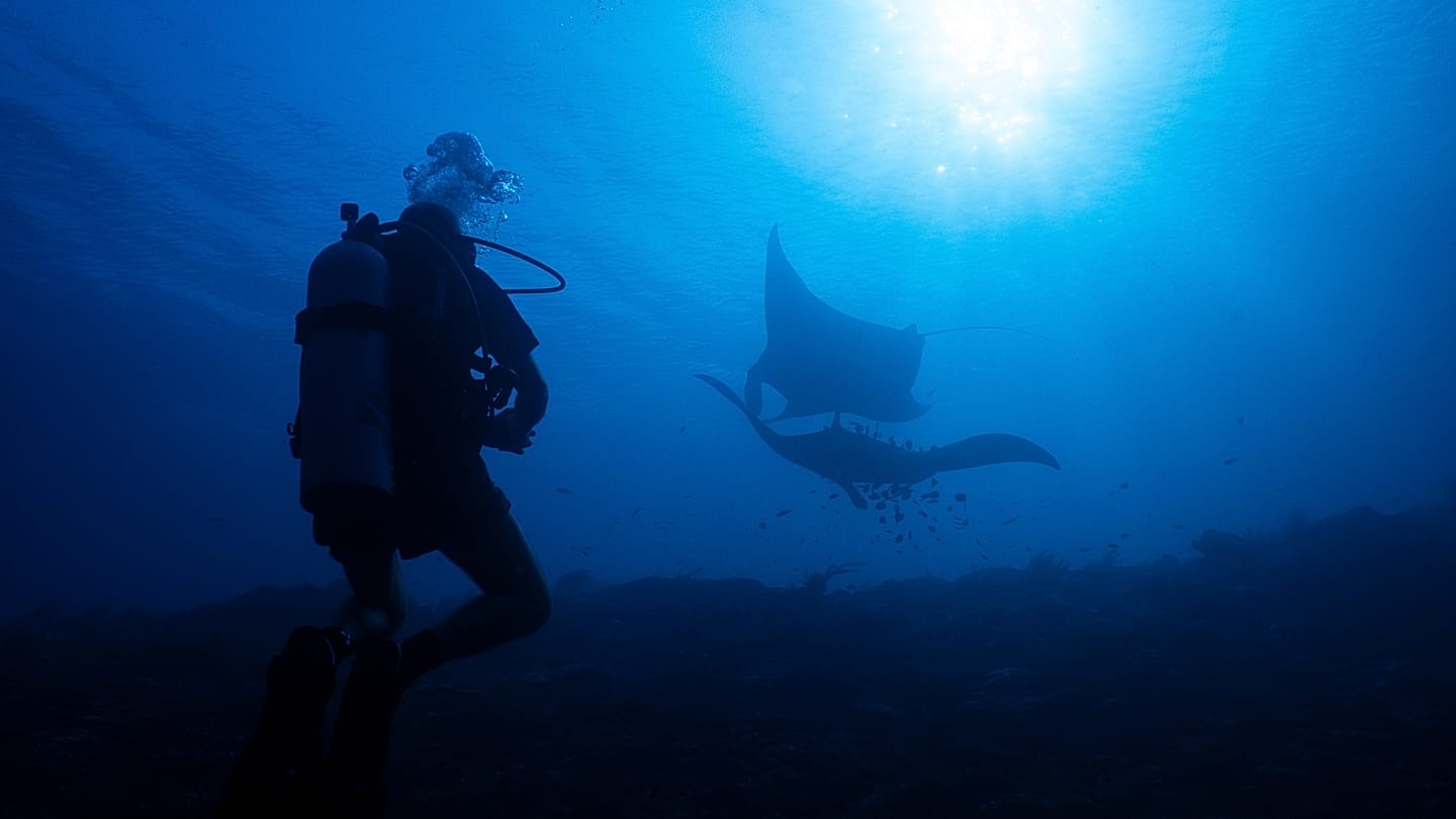 Global ocean surface hits record 21.1°C as El Niño intensifies