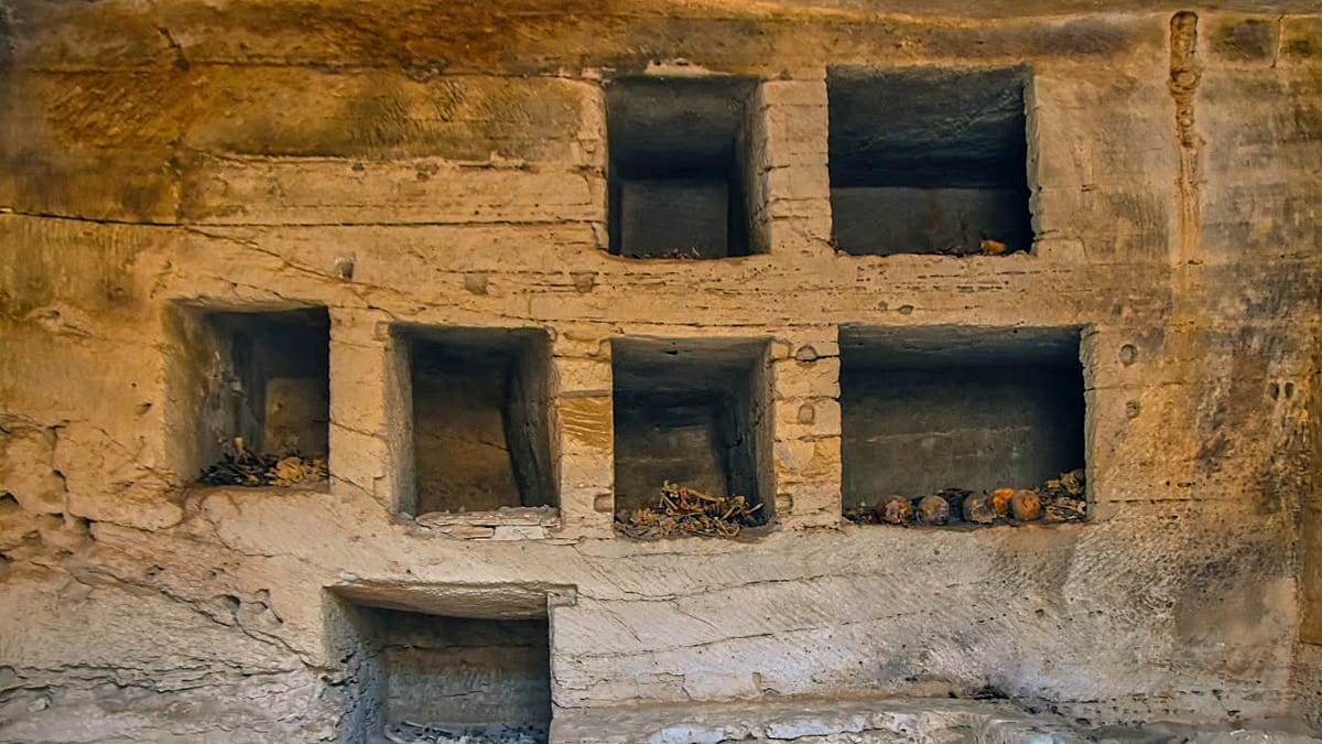 Golden Tongue Amulets Found in 18 Ptolemaic and Roman Tombs at Marina El Alamein