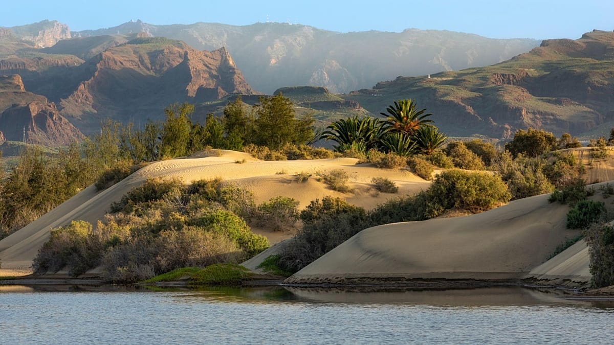 Gran Canaria's year-round strategy: more than just summer sun