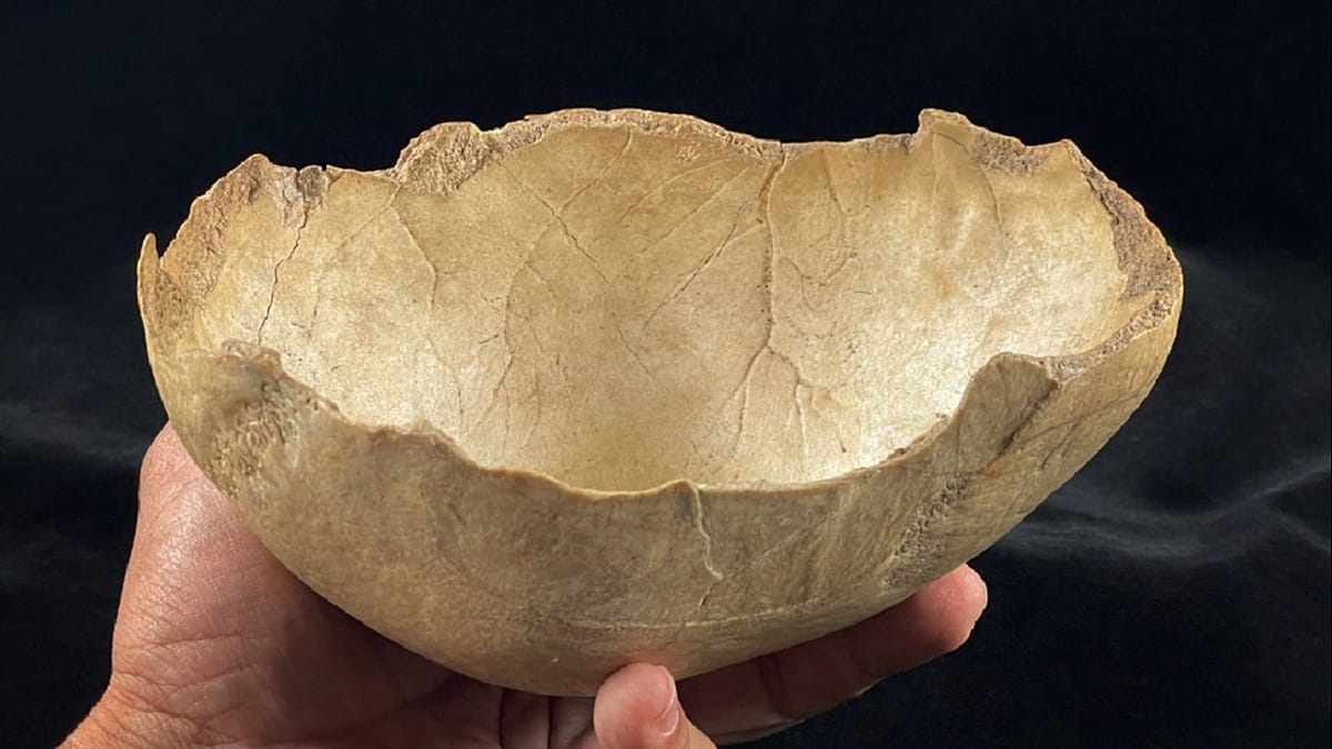 Granada cave bones reveal recurring Neolithic cannibalism in southern Spain