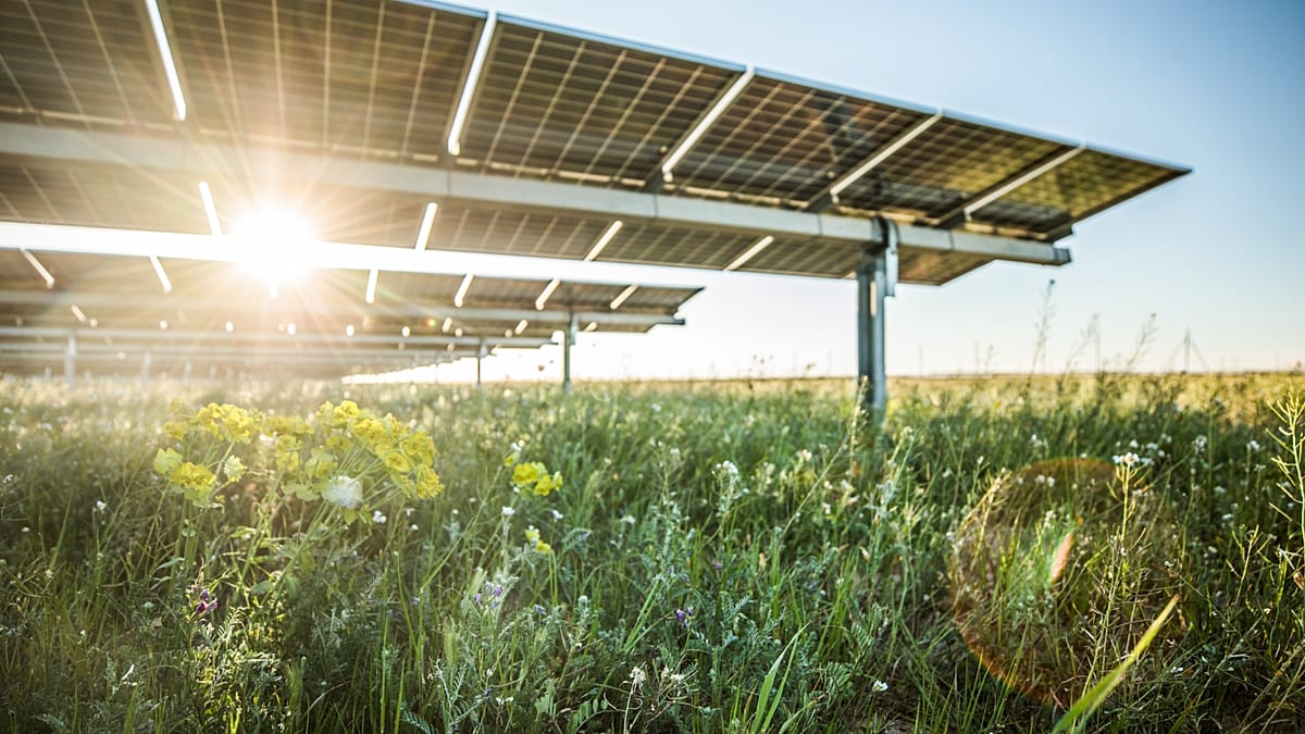 Greece's Green Energy Surplus Fails to Lower Household Electricity Bills