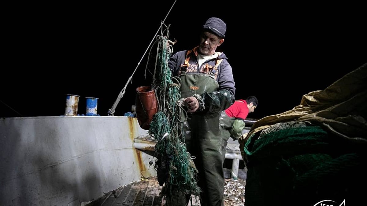 Greek seas littered with thousands of concrete blocks from illegal fishing practice
