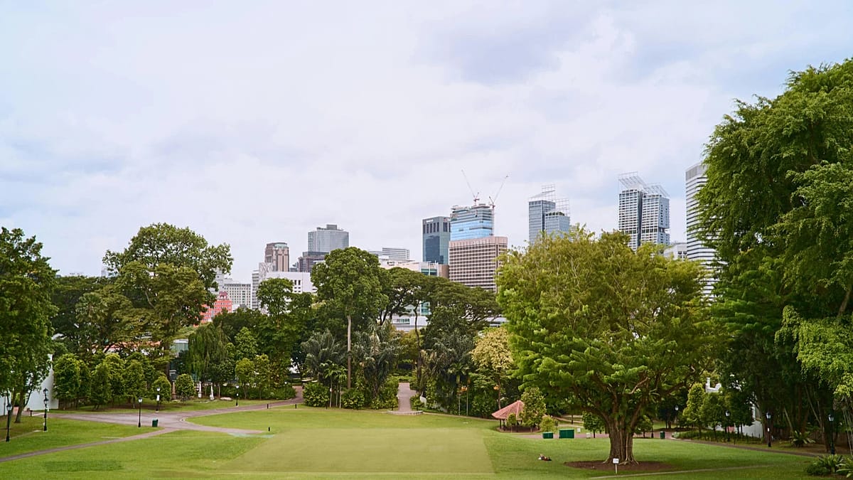 Green spaces near home linked to lower dementia risk, Swedish study finds