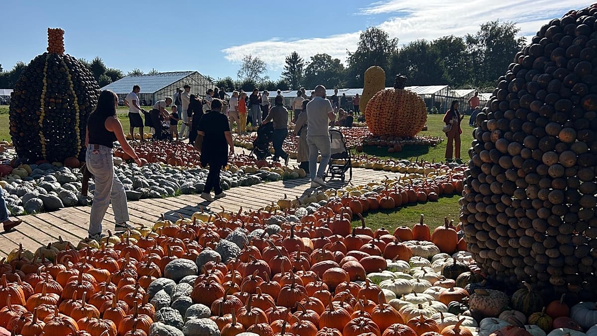 Groot-Bijgaarden Castle hosts autumn pumpkin festival with 50,000 expected