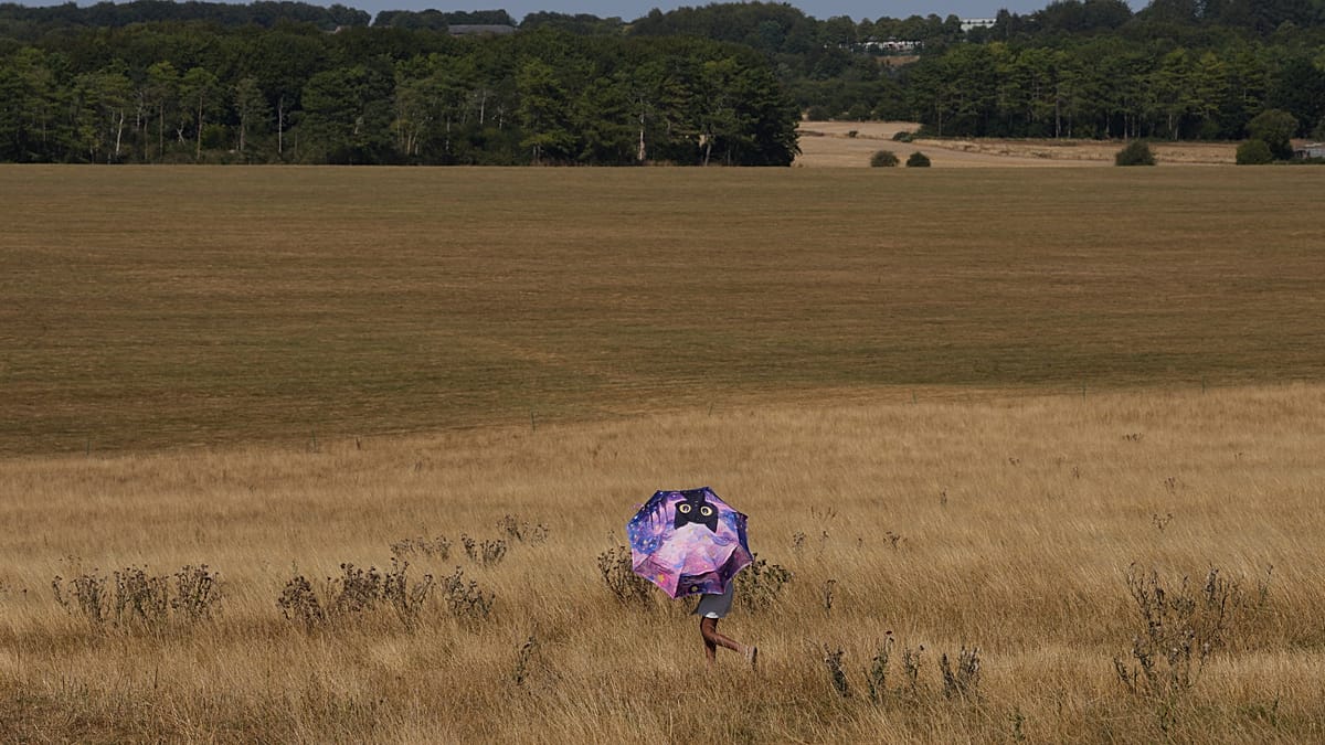 Heat alerts in England fail to prompt action for 41% of recipients