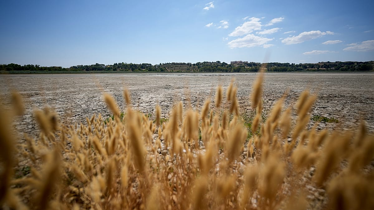 Heat, Not Rainfall Shortage, Now Drives Europe's Droughts, Study Finds