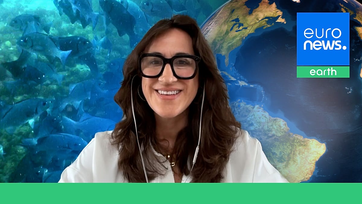High Seas Treaty Enters Force: A New Era for Global Ocean Governance