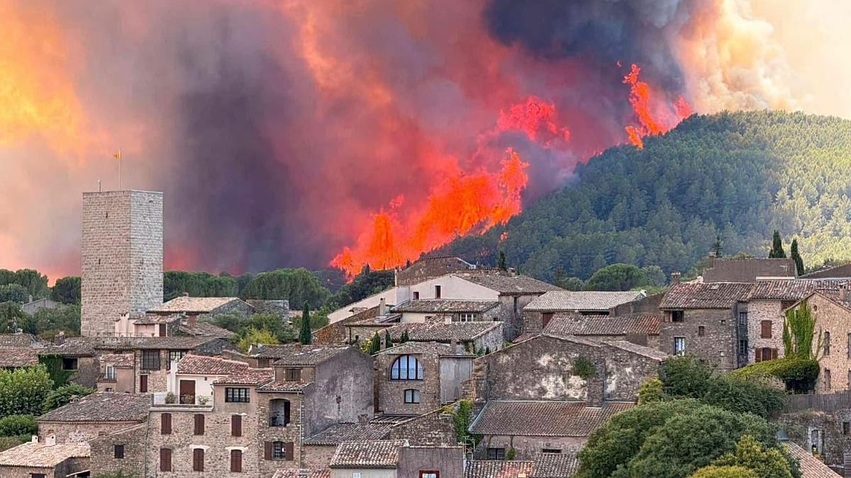How a Provençal Village Survived a Night of Wildfire Through Community Solidarity
