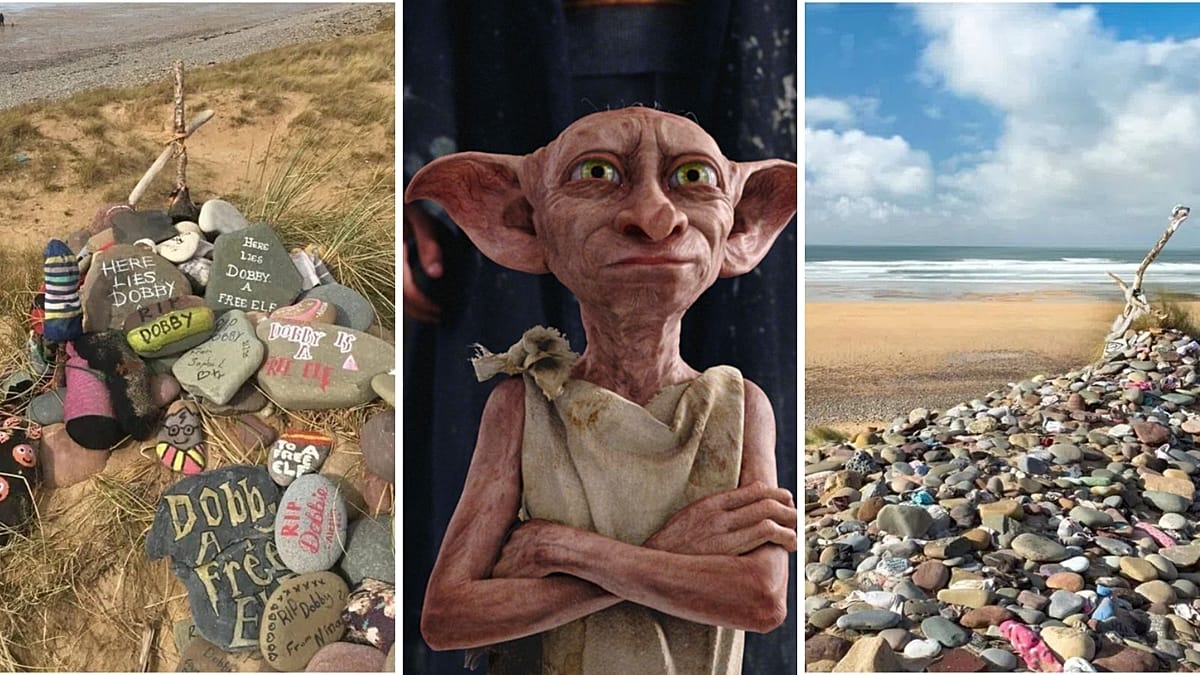 How Harry Potter fans rerouted a €500m power cable to spare Dobby's shrine