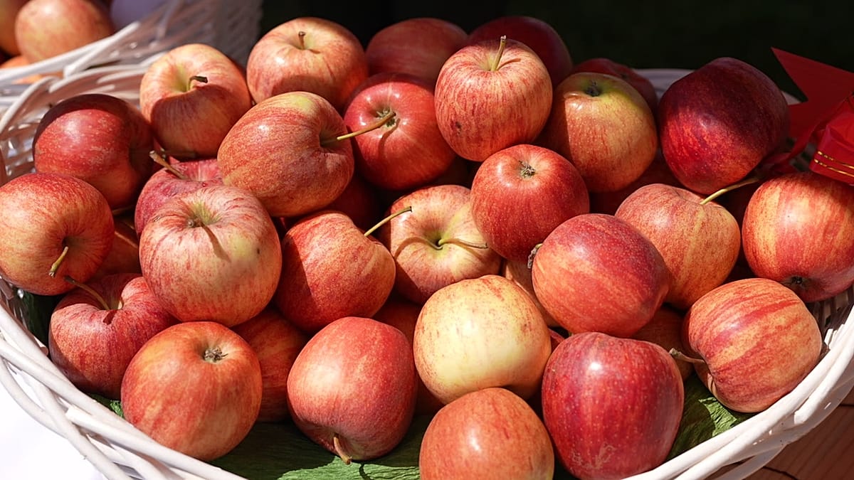 How Kazakhstan's wild apples conquered the world