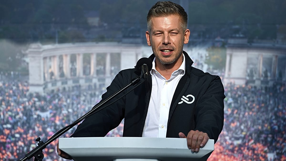 Hungary's new PM plans to overhaul adoption rules for singles and same-sex couples