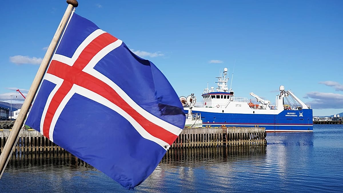 Iceland's EU referendum: what the vote means for Reykjavík and Brussels