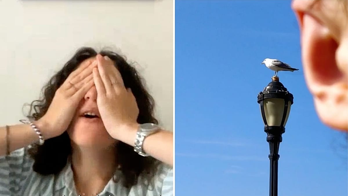 Icelandair Crowns Parisian as World's Worst Photographer in $50,000 Campaign